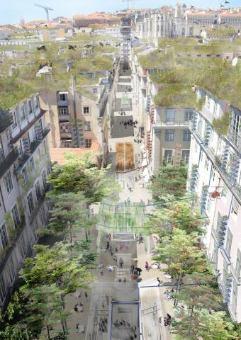 4th nature 5th facade