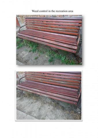 Ecological way of fighting weeds