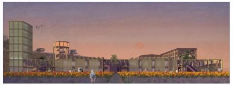 Interrupted Lanscape