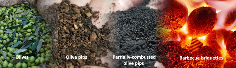 Olive pips: From "waste" to value