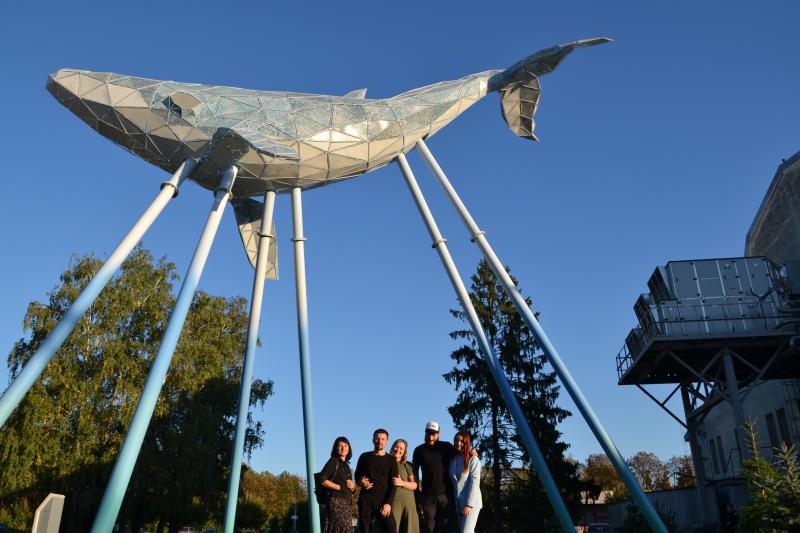 Kyiv Whale