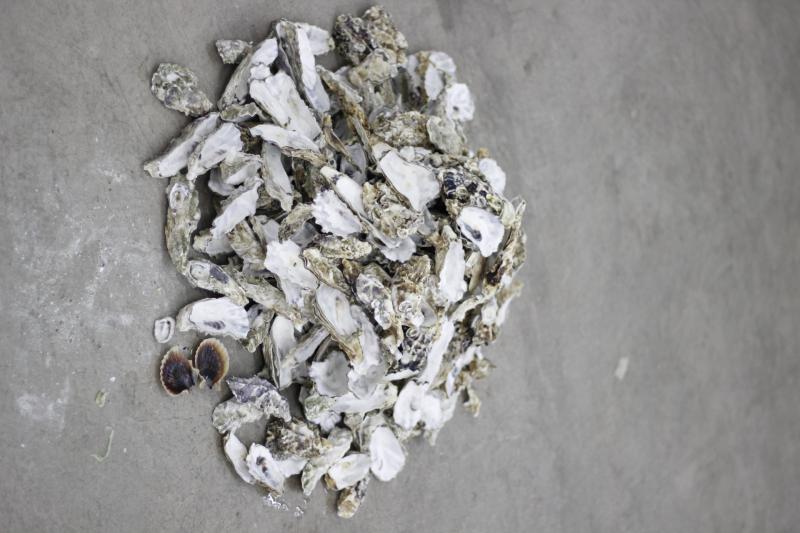 CONQ - Marine biobased materials