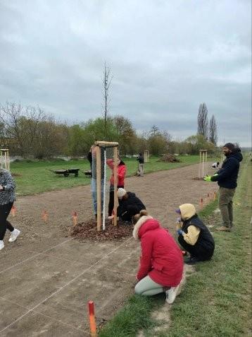 Experimental Floodway Picnic Meadow