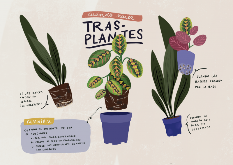 Plantea en verde