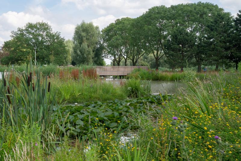 Eemsdelta Campus, Groningen