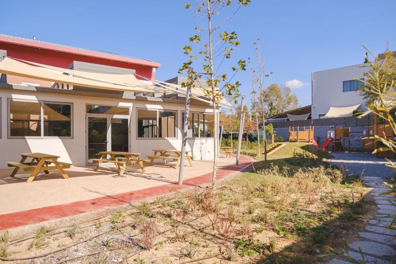 Greening Our Schoolyards
