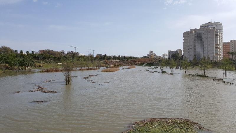 Finalist La Marjal Floodable Urban Park. Alicante
