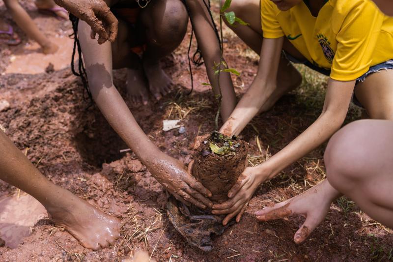 Finalist Urban Community Mini-Forests São Paulo