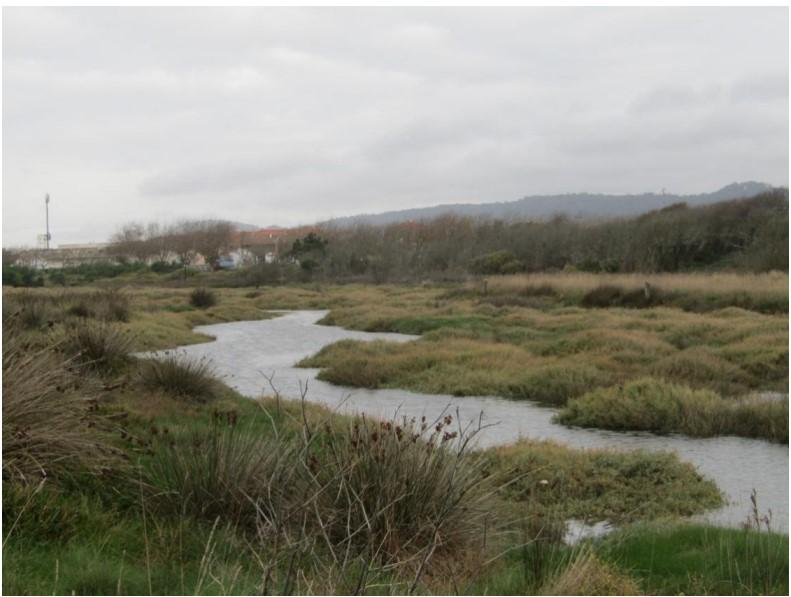 Esposende City Park 