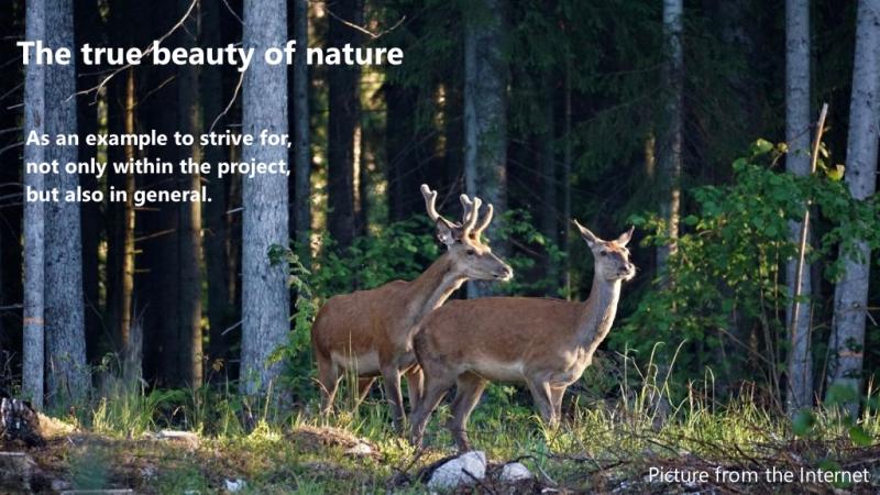 Restoration of the nature ecosystem