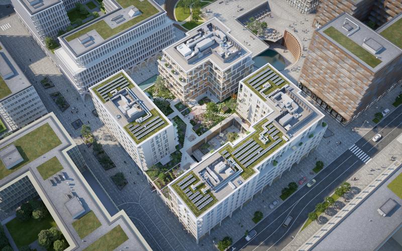 Roots real estate project