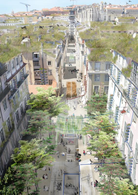 4th nature 5th facade