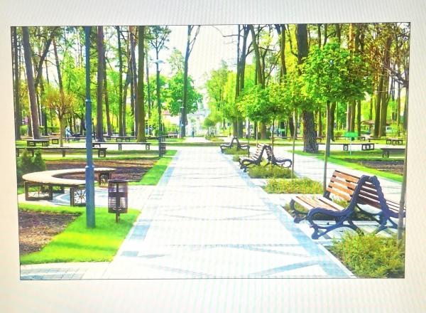 A Green Oasis in the Heart of Zviahel