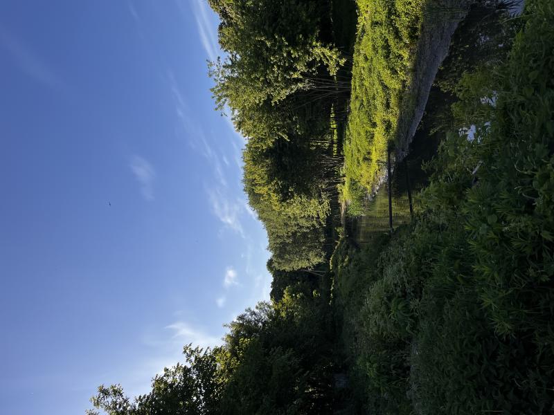 Sapalaivka Urban Greenway
