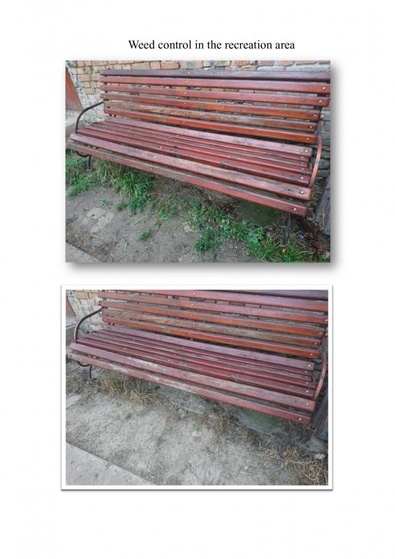 Ecological way of fighting weeds
