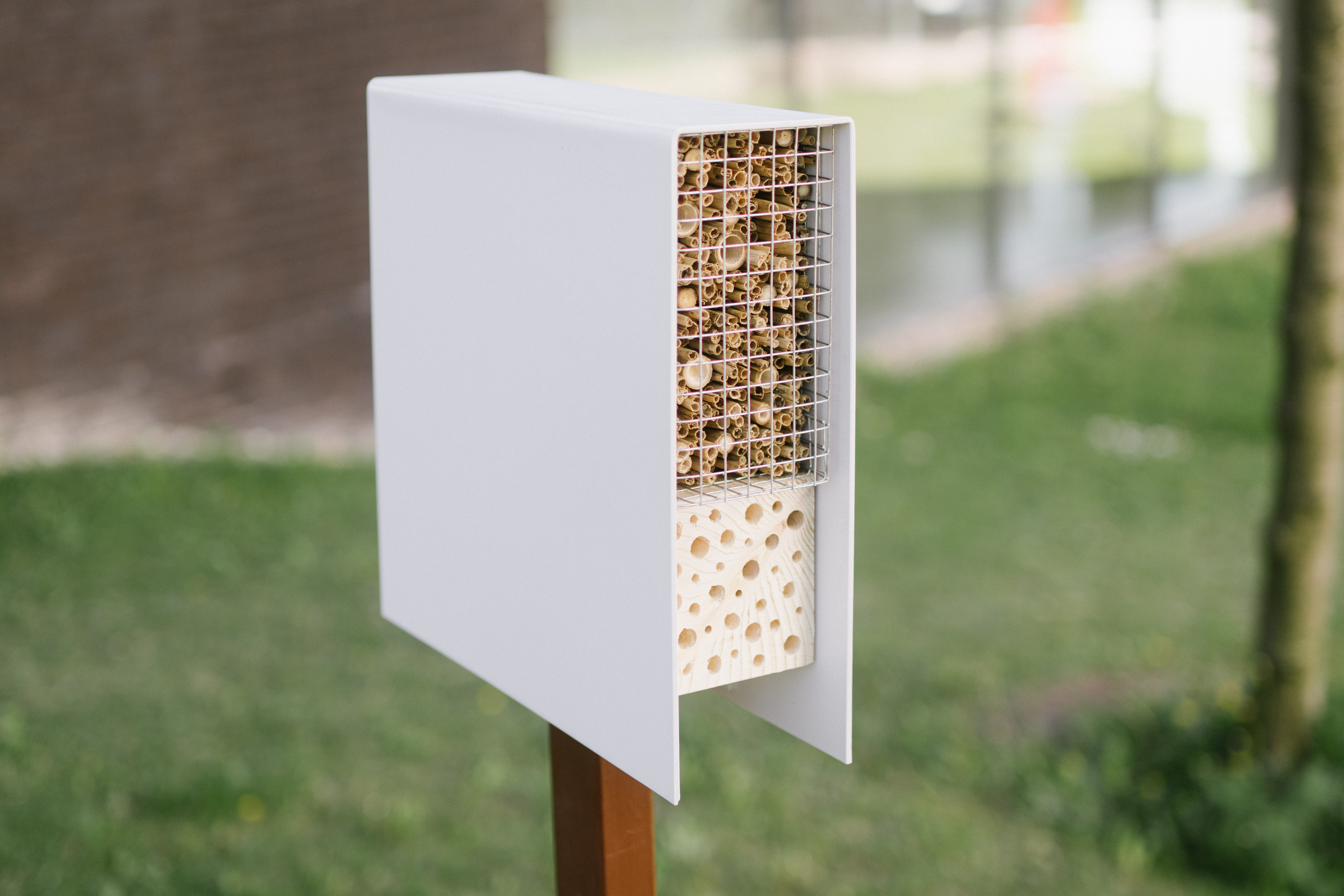 13_Pollino_Pilot_Object_for_Monitoring.jpg